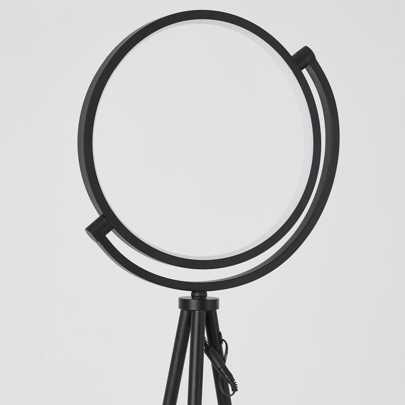 Halo Floor Lamp Decorative Circle Led