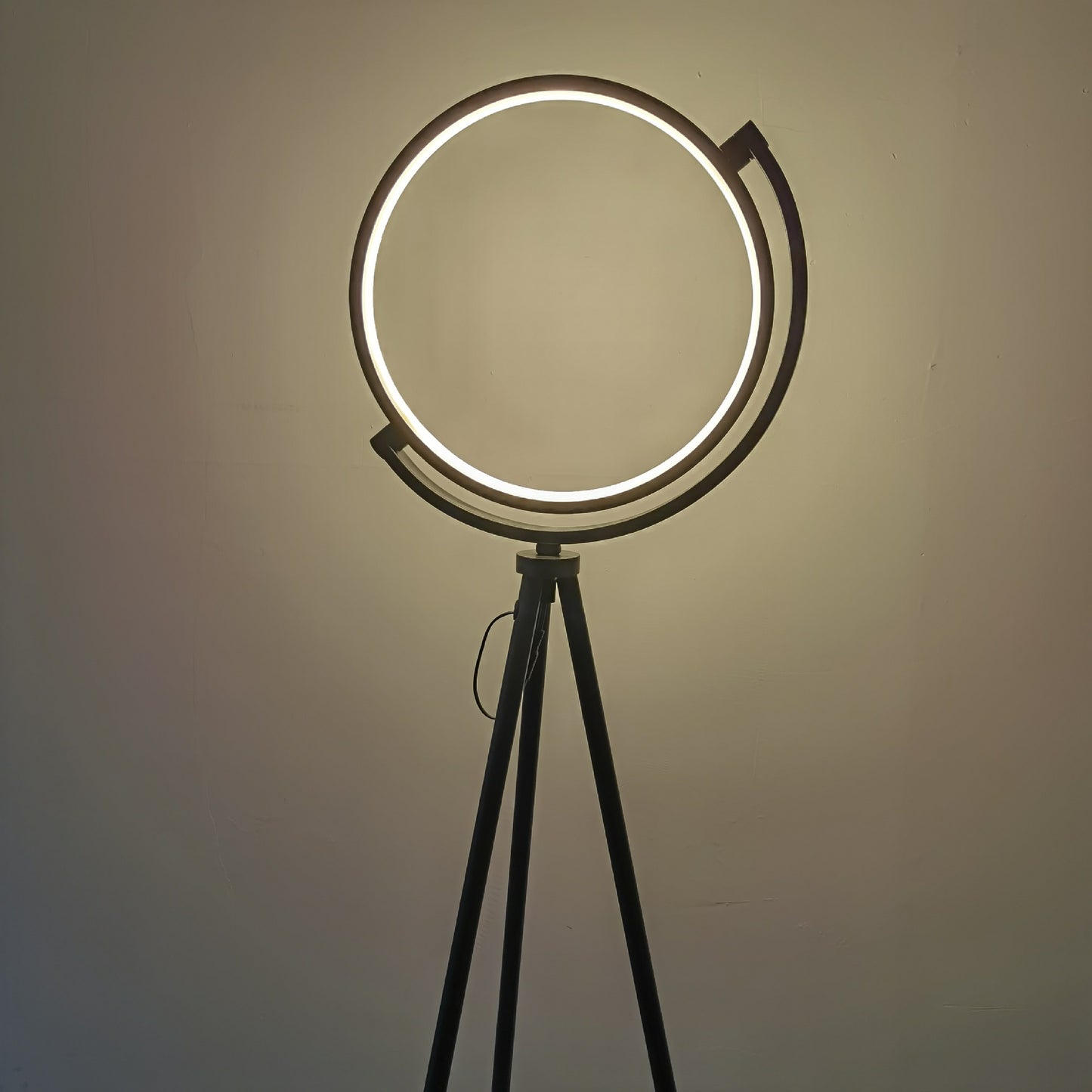 Halo Floor Lamp Decorative Circle Led