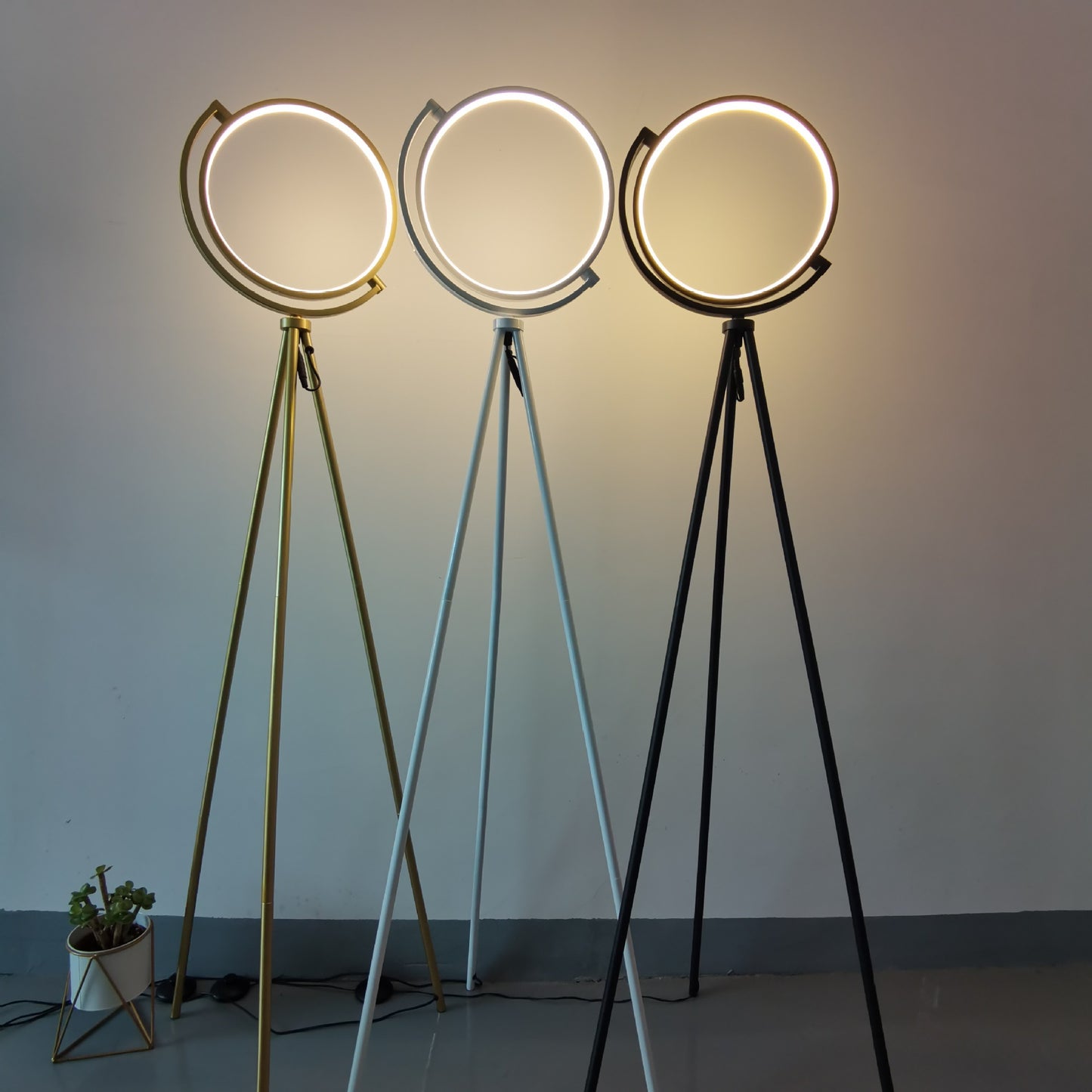 Halo Floor Lamp Decorative Circle Led